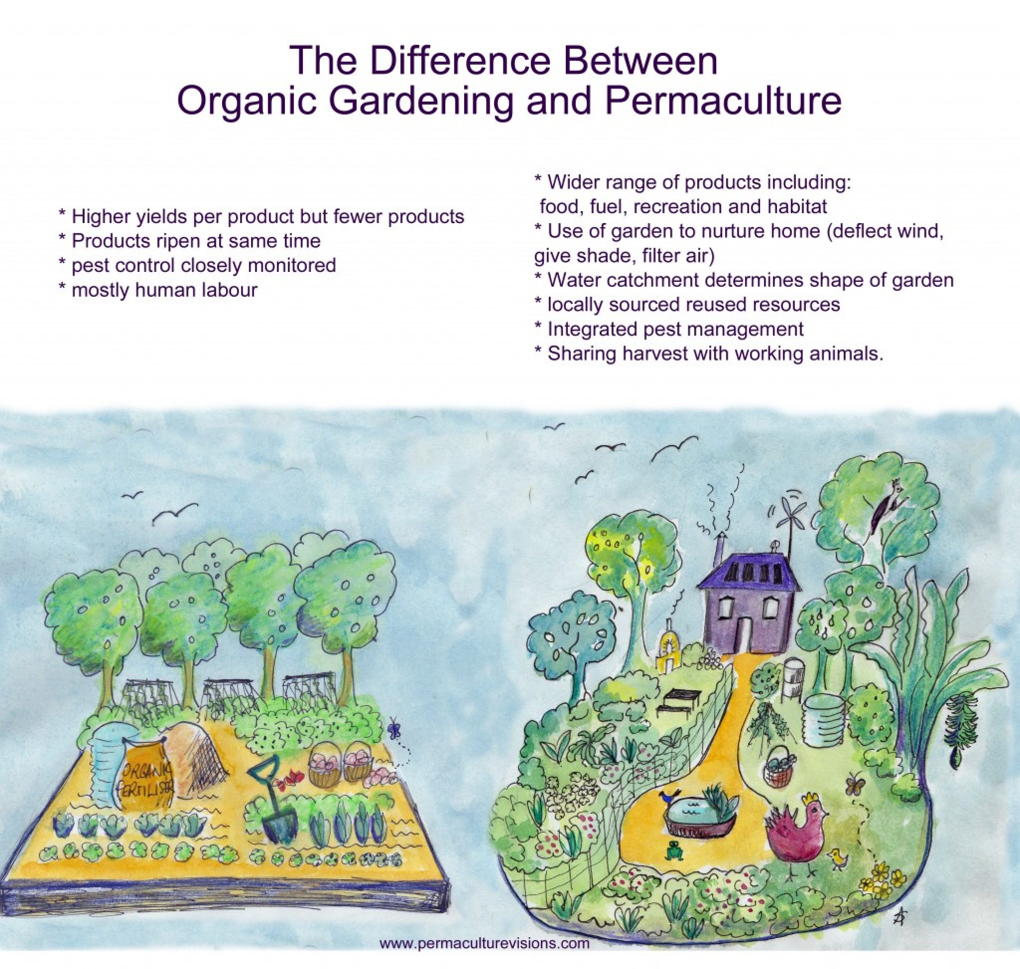 What Is Permaculture? - Stunning Lifestyle