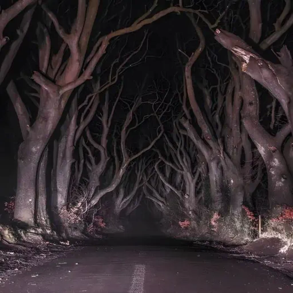 Dark Hedges, Northern Ireland Who wants to take a long drive here