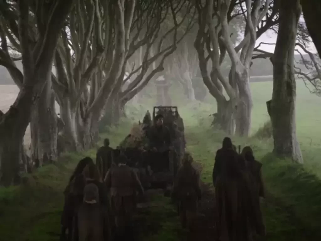 In Game of Thrones Season 2, Episode 1: ‘On the King’ s Road’. The Dark Hedges were featured during a scene where Arya Stark escaped from King’s Landing.