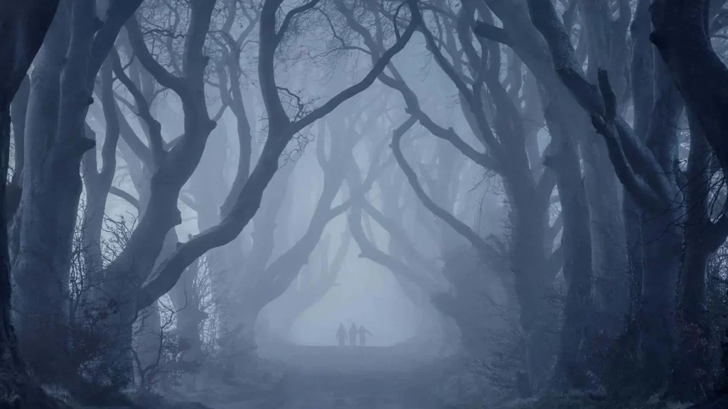 The Dark Hedges Travel Guide - Northern Ireland