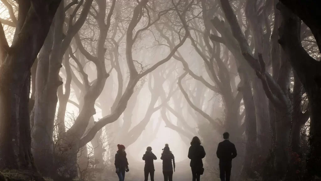 The Dark Hedges Travel Guide - Northern Ireland